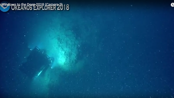 'Sonar Anomaly' discovered off North Carolina coast, fascinating scientists