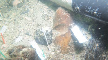 'Unprecedented' Native American burial site discovered in Gulf of Mexico off Florida