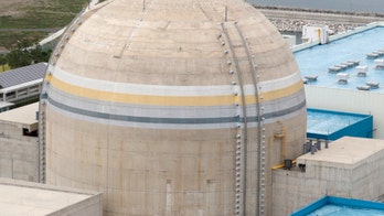 South Korea cancer victims bring class action against nuclear operator