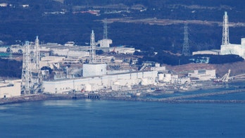 WHO: Japan Radiation Localized, No Immediate Threat