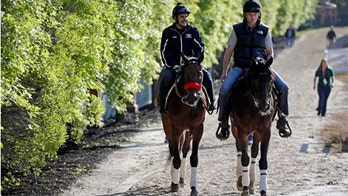 Derby winner Nyquist ready for Preakness, even a rainy one