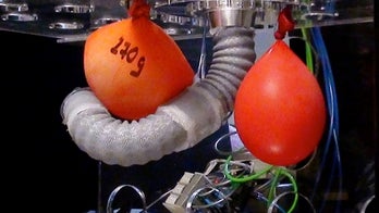 Octopus-inspired robotic arms can multitask during surgery