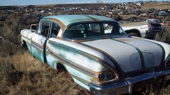 Field of thousands of classic car dreams for sale