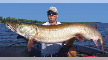 How to catch muskies by reading weather and water temperature