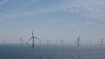 Fossil fuel profits are vital for green energy projects Dems routinely tout