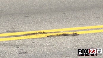 Oklahoma road crew paints over roadkill in middle of city street