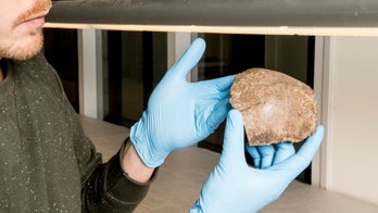 Skull of 'oldest Dutchwoman' found beneath the North Sea