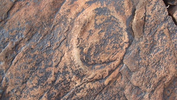 Desert fossils reveal 540-million-year-old Jellyfish 'graveyard'
