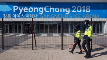 Drone-catching drones to bolster security at Winter Olympics