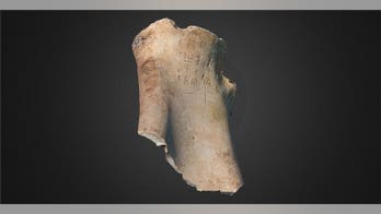 Cambridge scientists make 3D print of ancient bone with Chinese writing