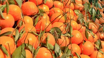 U.S. won't allow more fungicide in orange juice, FDA says