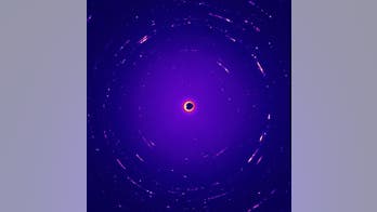NASA probe may have caught dust from interstellar space, a first
