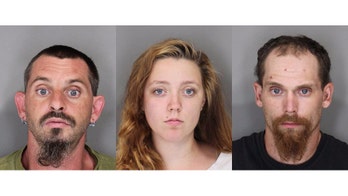 New York girl, 10, dragged by car; 4 charged