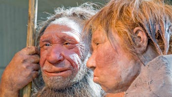 Scientists detect evidence of extinct human cousin in modern DNA