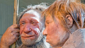 Who among us has Neanderthal, Denisovan DNA?