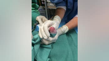 'Panda swap' keeps newborn twins in mom's care