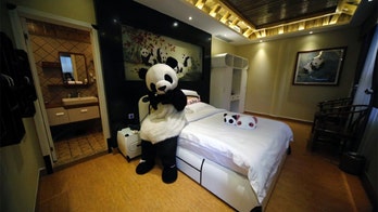 China opens world's first panda hotel