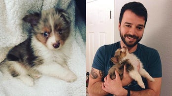 Partially blind Texas man adopts puppy with 1 eye