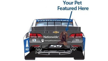 Chance to put your pet's face on Dale Earnhardt Jr.'s car