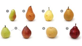 A visual guide to pears