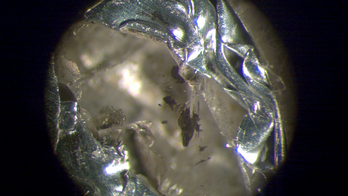This tiny diamond contains a mineral that's never been seen before