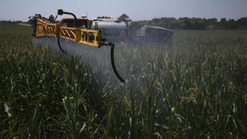 Pesticide exposure during pregnancy linked to autism