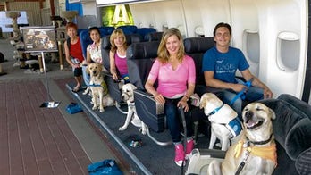 Classes in Hollywood film studio prep canines to fly