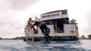 Shark Week 2017 puts Michael Phelps against a great white shark