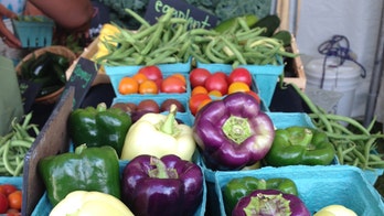 Veggie Fest popular with meat eaters and vegetarians alike