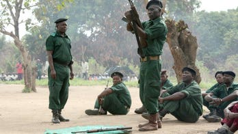 Mozambique blames opposition Renamo for deadly raid