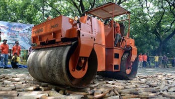 Philippines first in Asia to destroy ivory tusks