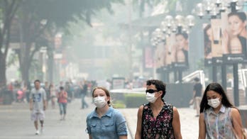 Palm oil companies behind Singapore smog: Greenpeace