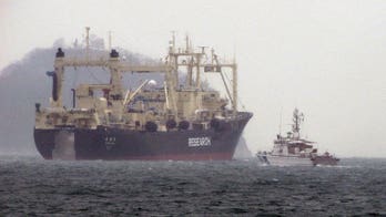 Australia in push to outlaw Japan whale hunt