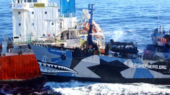 Sea Shepherd loses Australia bid for charity status