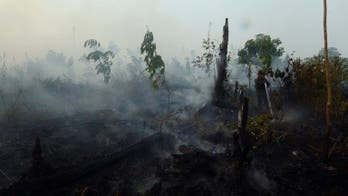 Slash-and-burn a way of life on Indonesia's Sumatra