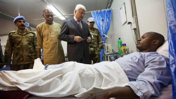 Blue Helmets hurt in Darfur ambush: top peacekeeper