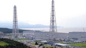 Fukushima operator rebuked over nuclear restart plan