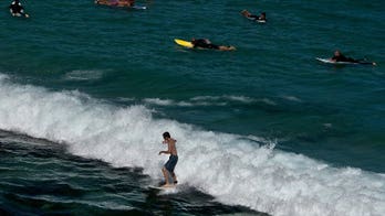 Whale knocks surfer unconscious in Australia