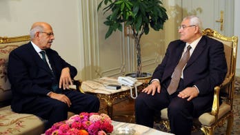 ElBaradei condemns Egypt killings, urges probe