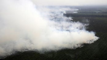 Indonesian police probe Malaysian firm over haze