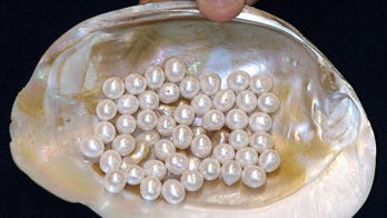 Australia to protect wrecked Japanese pearl ship