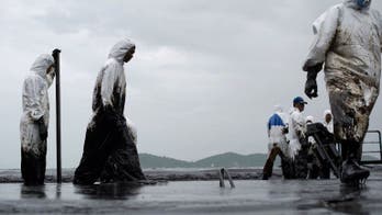 Thai firm understating oil slick fallout: Greenpeace