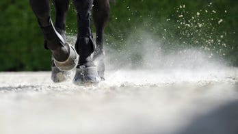 Jockey dies after fall in Australia