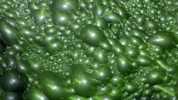 Glencore-Xstrata cuts jobs at Philippine mine