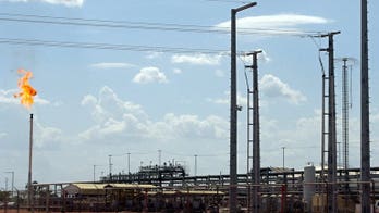 Chad suspends Chinese oil company for environmental violations