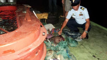 Six tonnes of rare live pangolins found in Vietnam