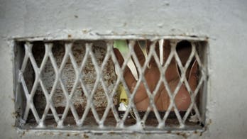 Thirty prisoners escape from Indonesian jail
