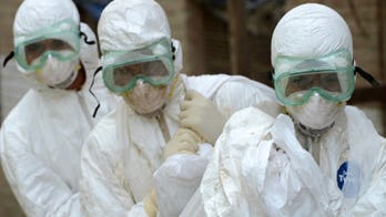 Cambodian boy dies from bird flu: WHO