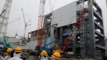 Toxic puddles at Fukushima nuclear plant: report