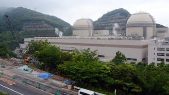 Japan nuclear-free as last reactor switched off